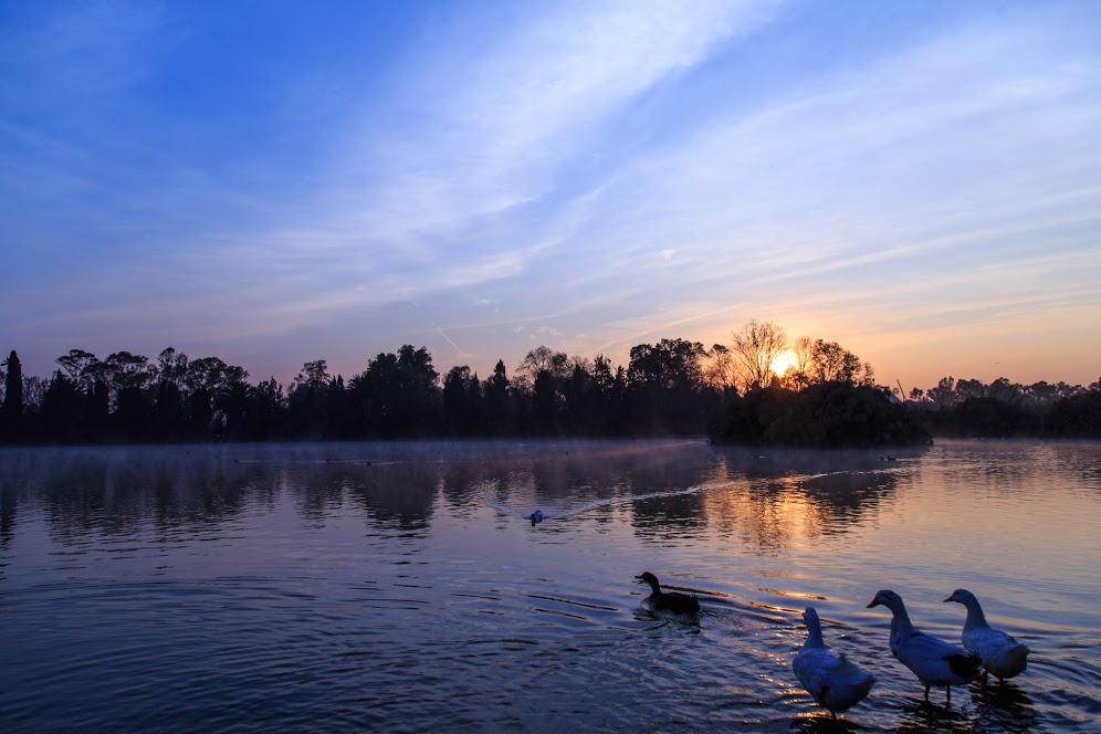 Lago Mayor Segunda Sección - Pro Bosque Chapultepec