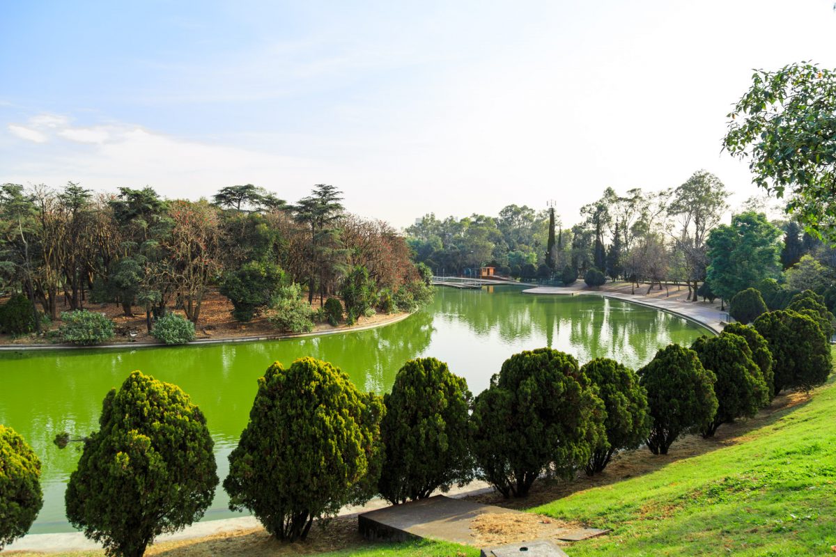 Circuito del lago mayor - Pro Bosque Chapultepec