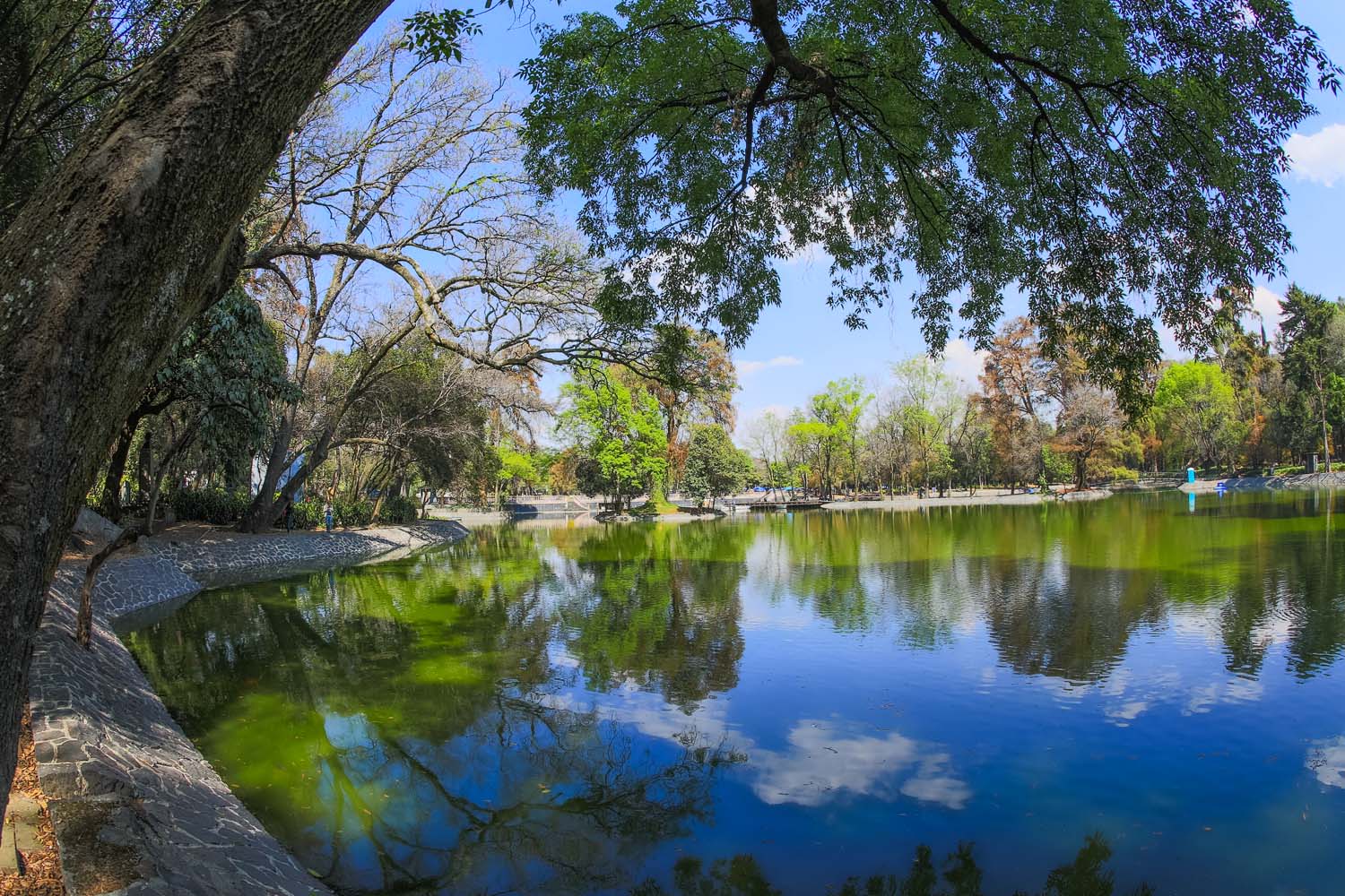 Lago Menor Segunda Sección - Pro Bosque Chapultepec