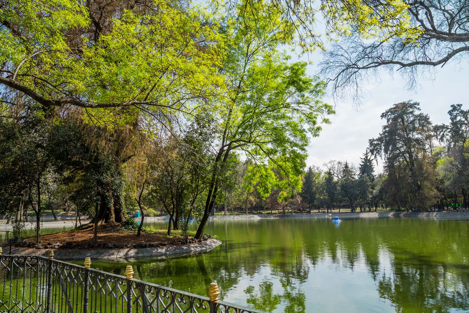 Lago Menor Segunda Sección - Pro Bosque Chapultepec