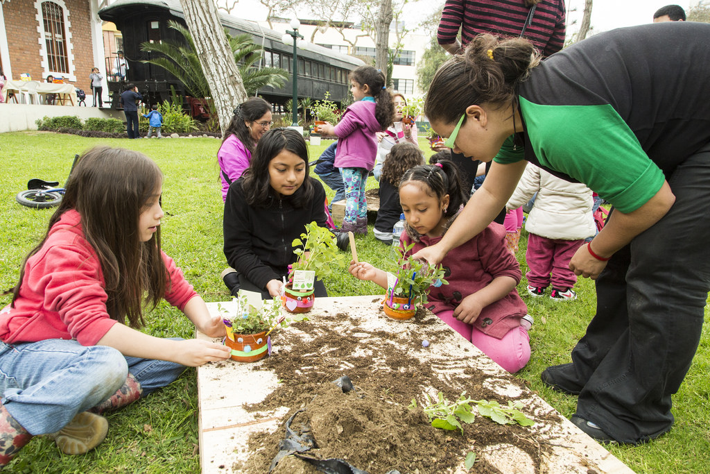 cursos ecologia