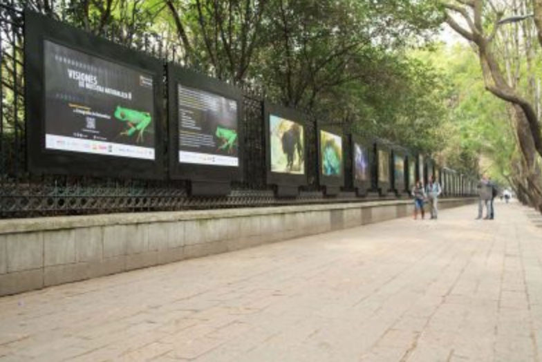 chapultepec fences