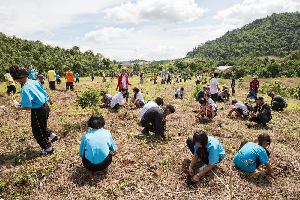 Estudiantes filipinas reforestar graduarse