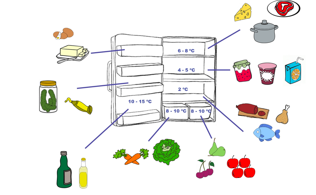 Así se ordenan los alimentos en el frigorífico para conservarlos mejor