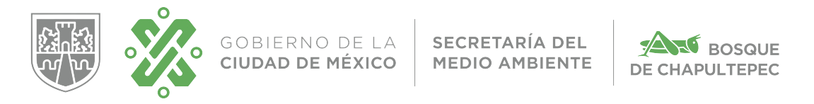 logos png