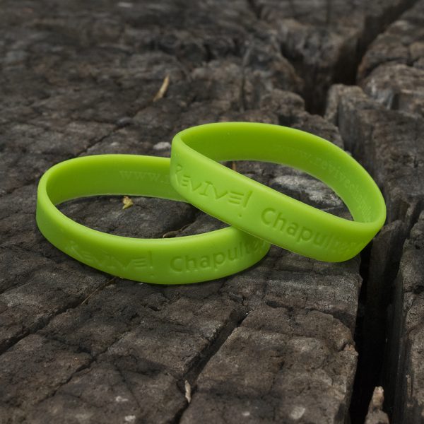 Pulsera Revive Chapultepec - Image 3