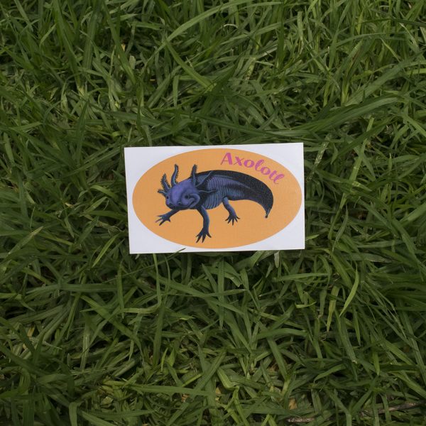 Sticker's "Axolotl - Ajolote" - Image 2