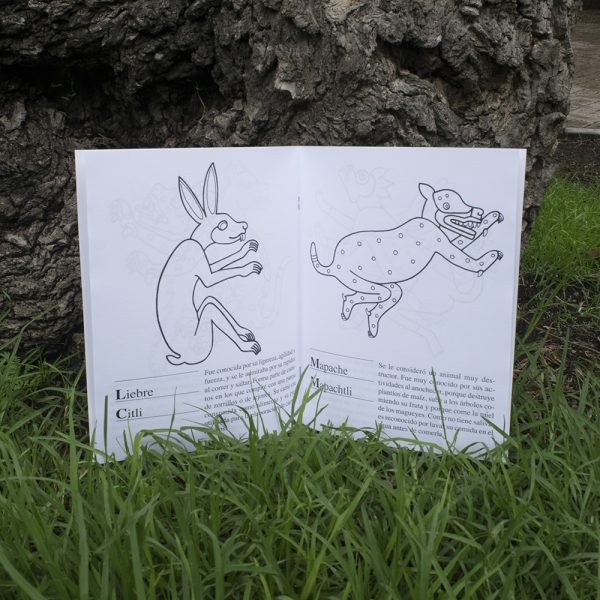 Libreta para colorear Mamíferos del México Prehispánico - Image 3