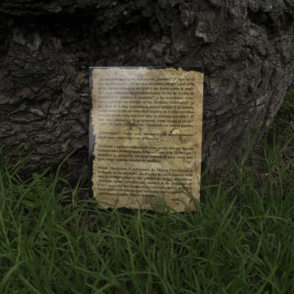 Libreta para colorear Rey de los Mexicas "Moctezuma" - Image 2