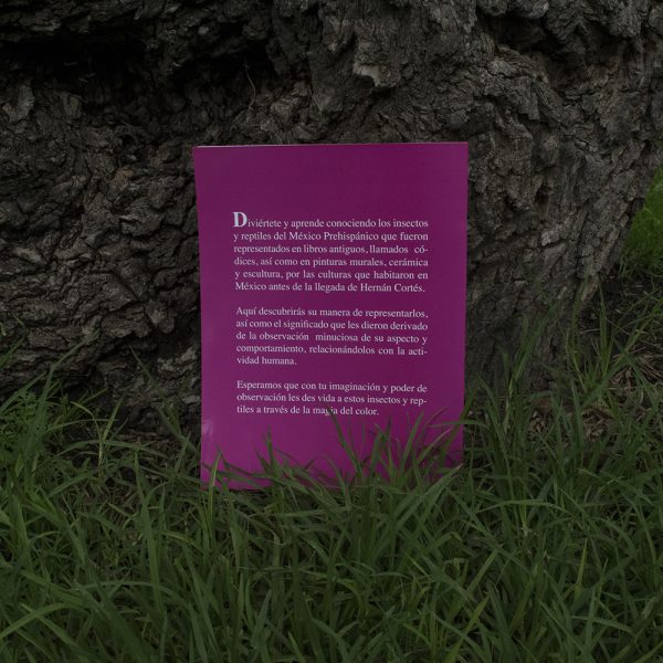 Libreta para colorear Insectos y Reptiles del México Prehispánico - Image 2