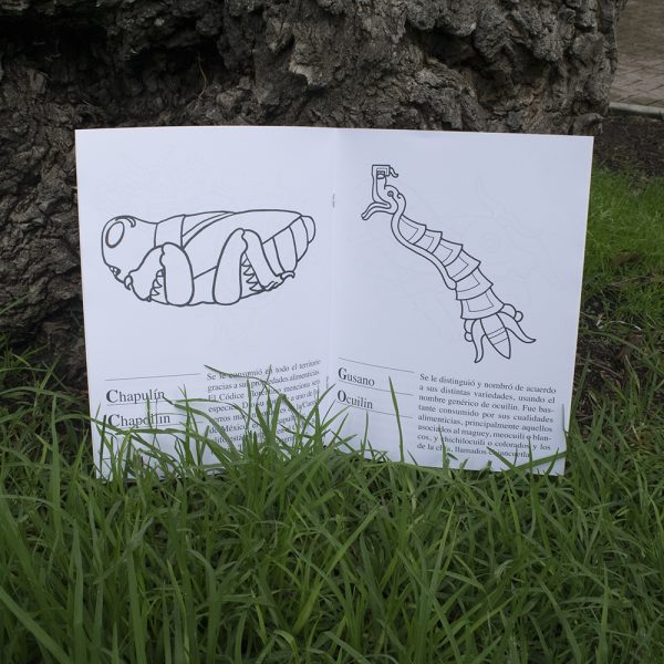 Libreta para colorear Insectos y Reptiles del México Prehispánico - Image 3