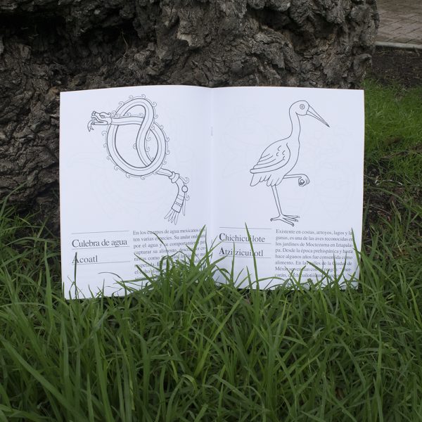 Libreta para colorear Animales Acuáticos del México Prehispánico - Image 3