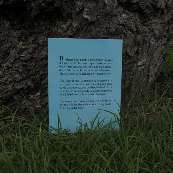 Libreta para colorear Aves del México Prehispánico - Image 2