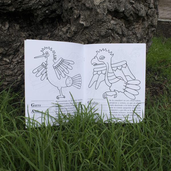 Libreta para colorear Aves del México Prehispánico - Image 3