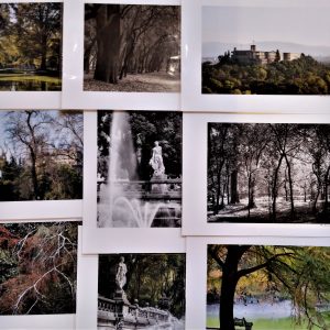 Coleccion Especial - Alberto Rios