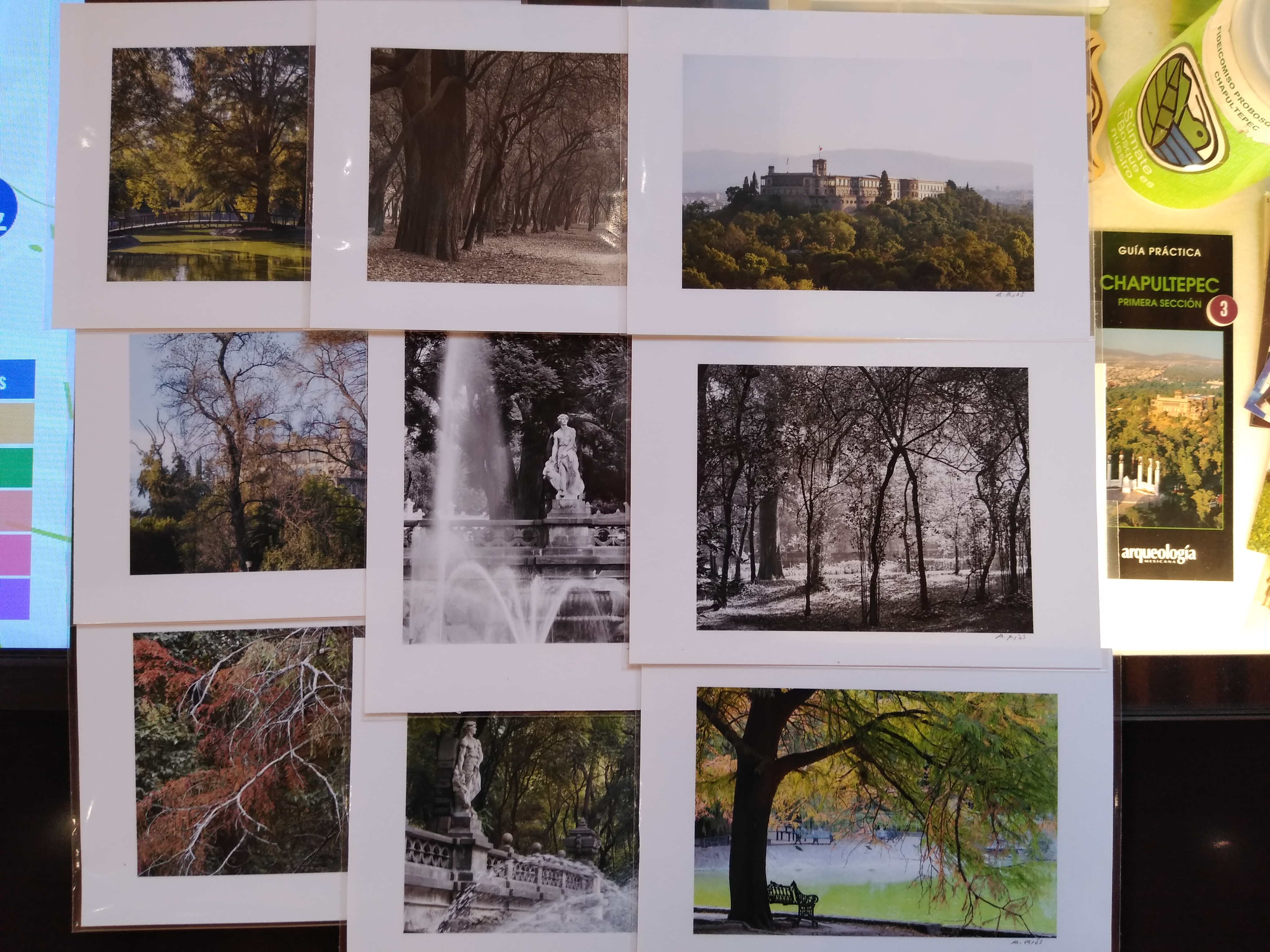 Fotografía en papel algodón