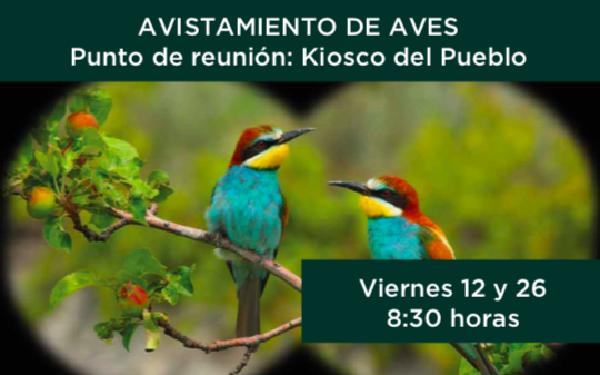 Captura de pantalla 2023-05-17 a la(s) 14.58.37