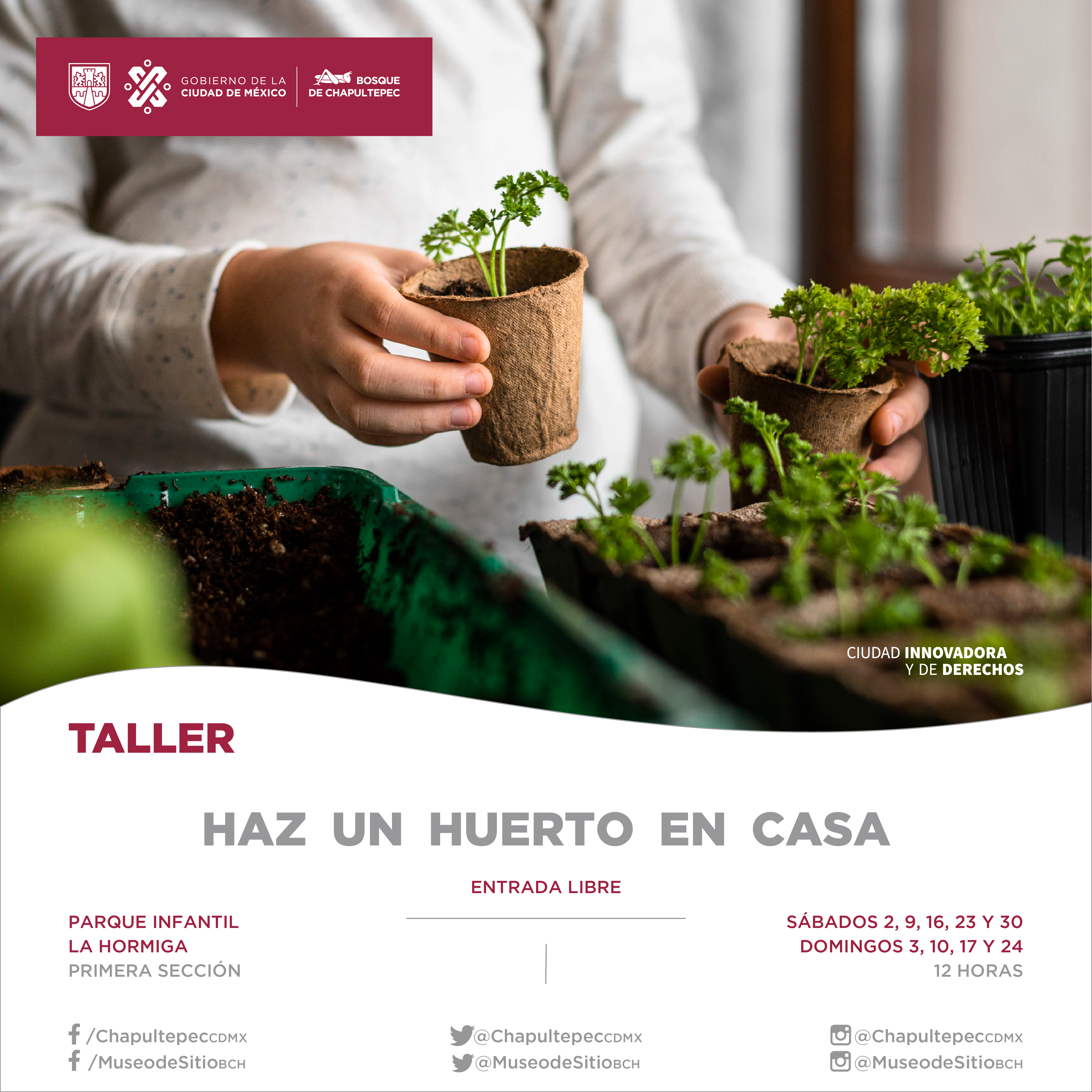 TALLER HORMIGA (1)_Mesa de trabajo 1