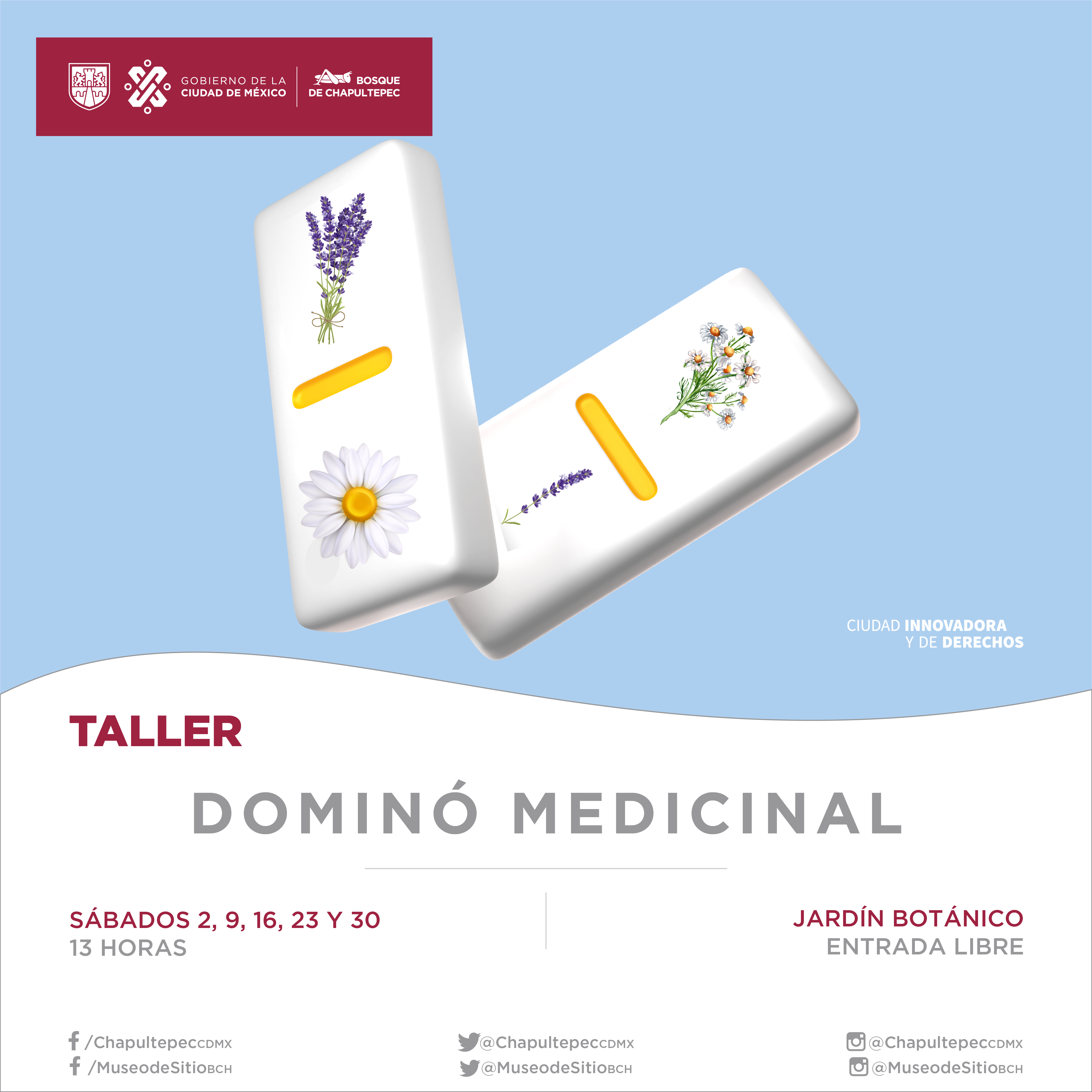 TALLER JB 2 (2)_Mesa de trabajo 1