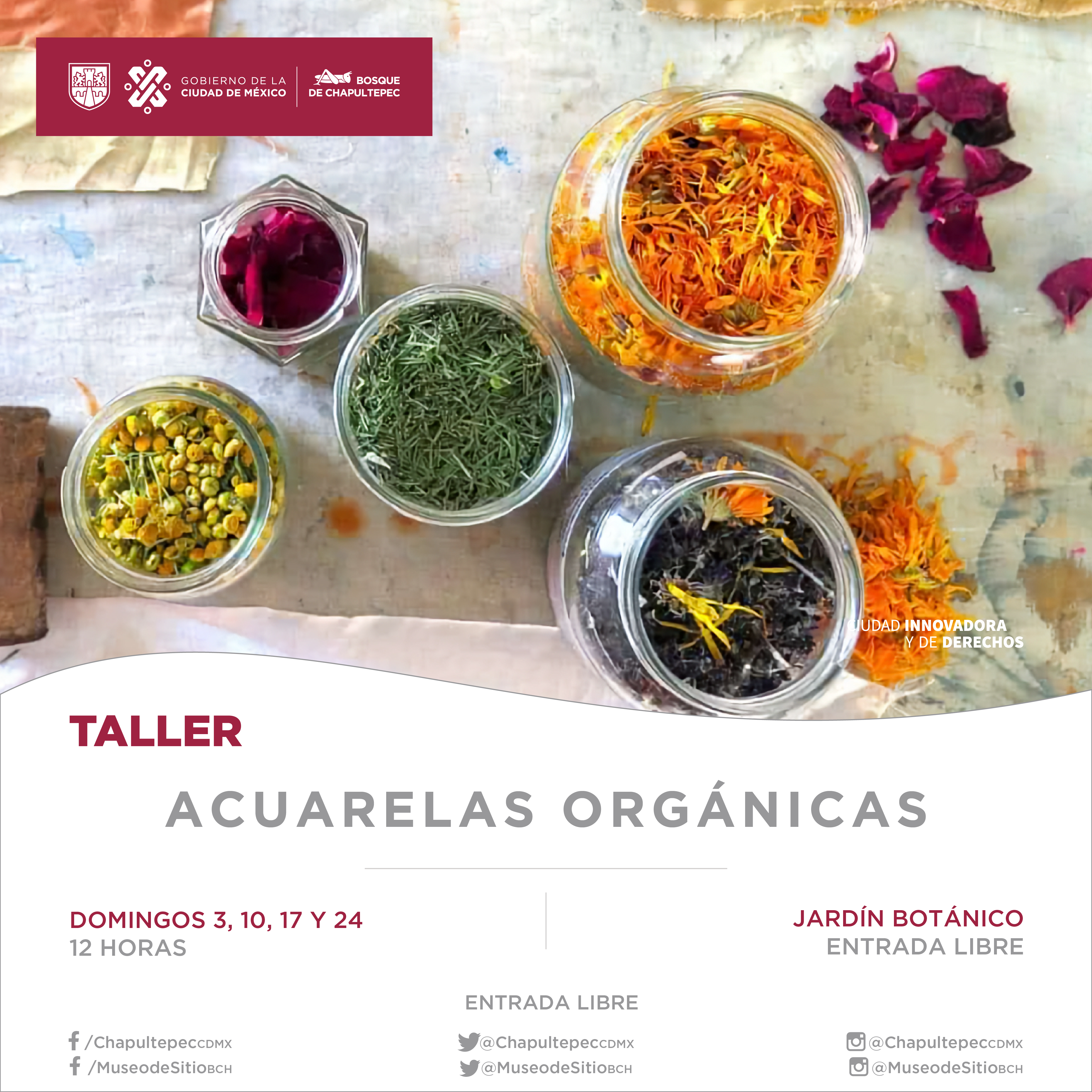 TALLER JB 3 (2)_Mesa de trabajo 1