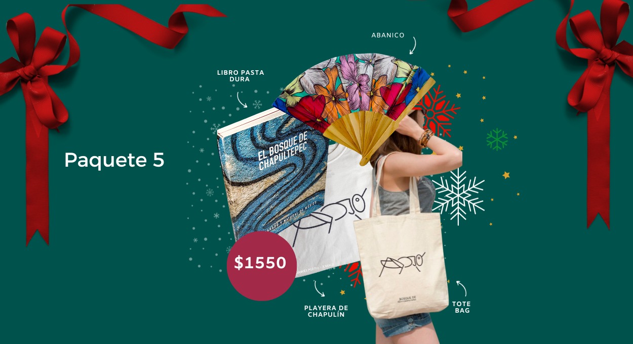 "Paquetes Navideños con causa"