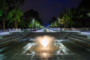 IMG_0503
