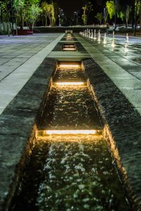 IMG_0554