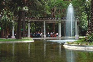 IMG_0781