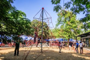 IMG_1175-baja
