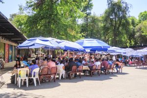 IMG_1193-baja