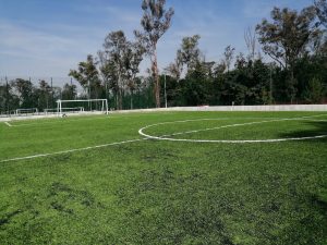 IMG_20191125_132501