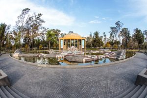 IMG_4567