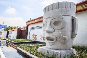IMG_7014-baja-e1544595492433