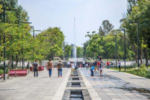 IMG_9365