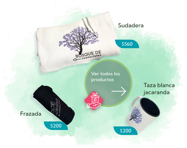 Ver todos los productos 2