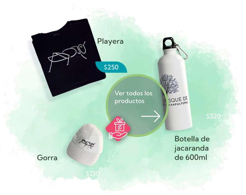 Ver todos los productos 3