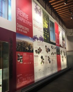 museo sitio 4