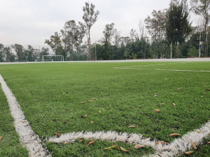 campo fut 2