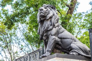 leones 2