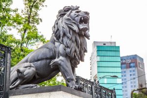 leones 3