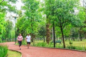 corredores 1