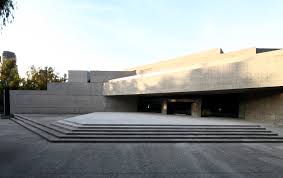 tamayo 3