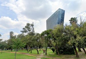 Parque-de-la-Luz-3