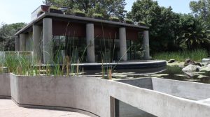 anfibium museo del ajolote