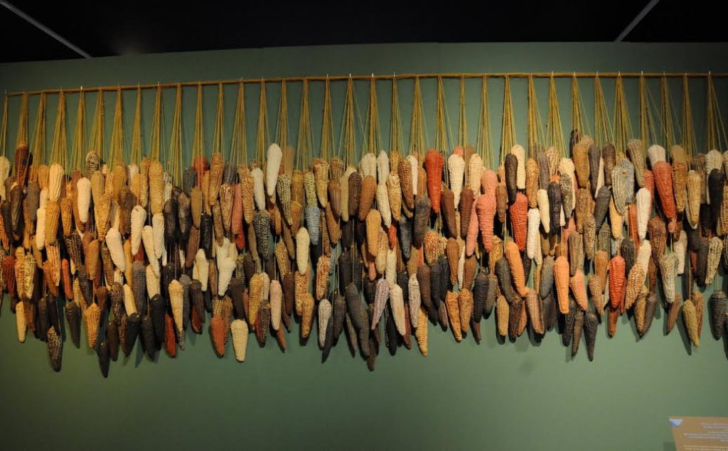 MUSEO CENCALLI – MUSEO DEL MAÍZ