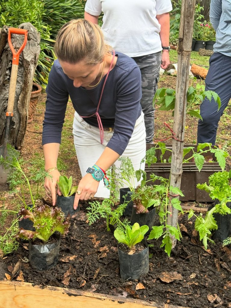 Flor de cempasúchil: origen, significado y cuidados de la flor de Día de Muertos 1 Jornada de plantación en un jardín del Bosque de Chapultepec; la flor de cempasúchil también se cultiva en maceta