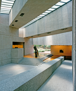 tamayo 2