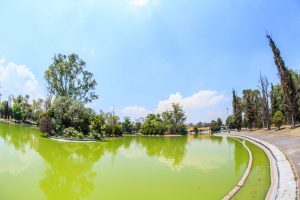 lago menor 2a