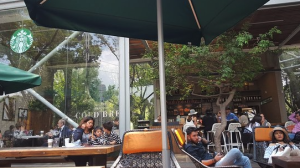 starbucks bosque de chapultepec