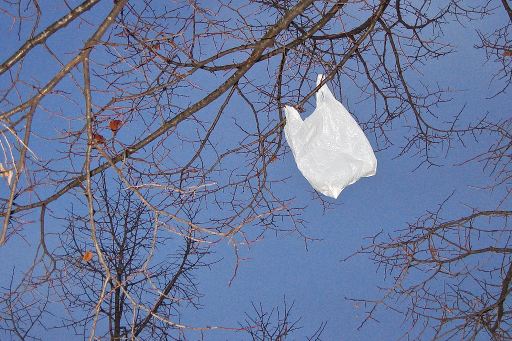 Chapultepec sin plastico